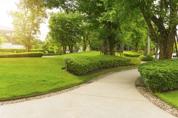 Walkway Concrete Installation in Rowlett