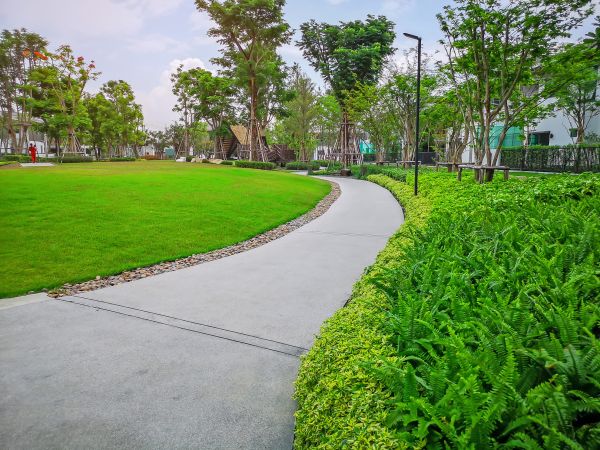Cement Walkway Service in Rowlett