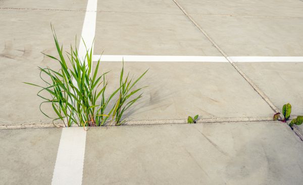 Concrete Parking Installation in Rowlett