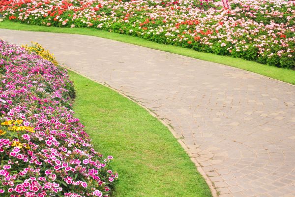 Concrete Walkway Service in Rowlett